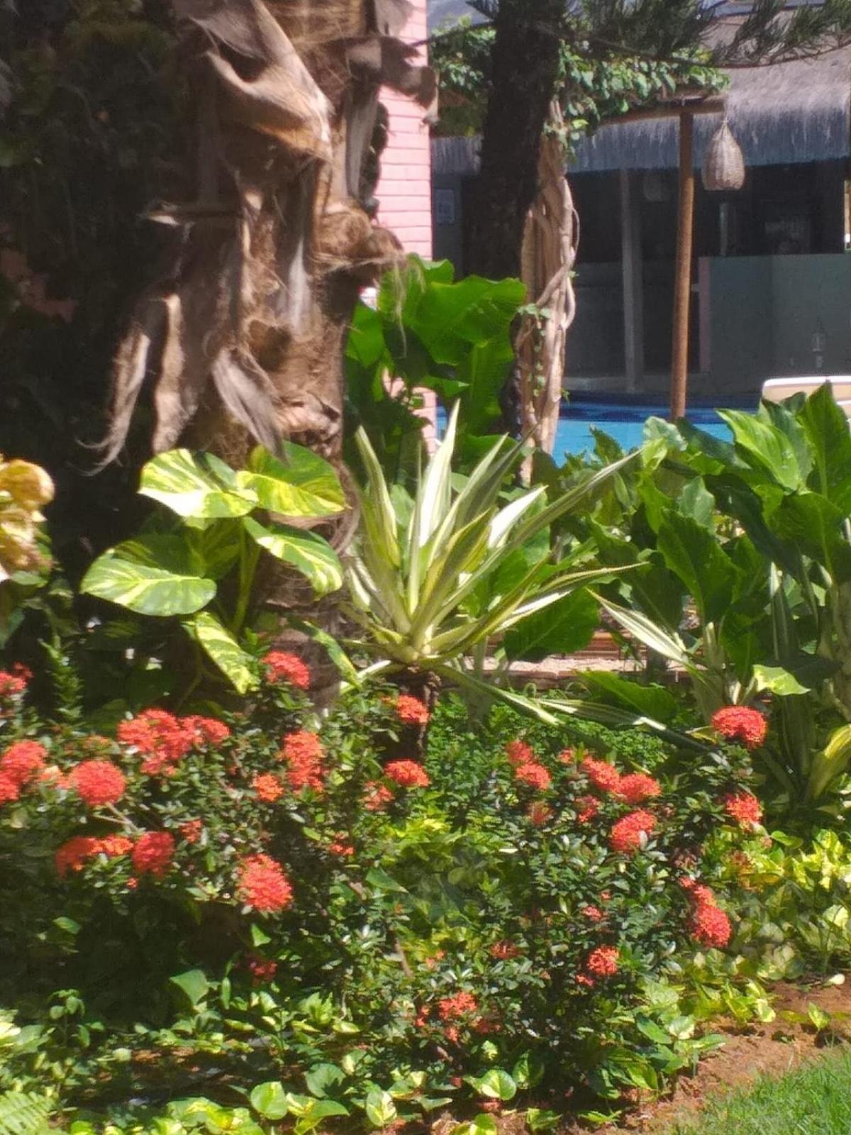 Chale Tulipa - Centro Praia Da Pipa Praia de Pipa المظهر الخارجي الصورة